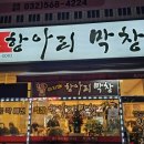 막창아지매 | 당하동 아지매 항아리막창 쫄깃하고 고소한 막창 맛집 후기