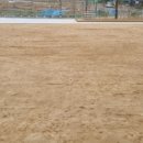 댄싱도그 이미지