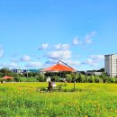 용인DATE데이트 | 경기도 용인 가볼만한곳 기흥호수공원 나들이 산책로 데이트코스