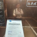 민들레 행정사 이미지