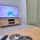 진안 hami숲 이미지