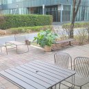 파주맛전집 | 파주베이커리카페 베스트셀러 읽으며 에그타르트 먹은 후기