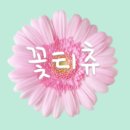 푸딩만들기/젤라틴없이 푸딩만들기/마이구미로푸딩만들기/왕꿈틀이로 푸딩만들기/젤리로 푸딩만들기