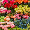 강남시장공영주차장 이미지