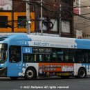 용화여객 이미지