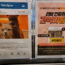 테이블에이 이미지