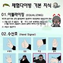 보홀로드 이미지