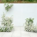 모든장식 이미지