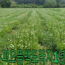 까치슈퍼 이미지