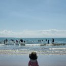 바다비치 이미지