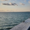 방축4호 태양광발전소 | 반월천 따라 걷기4 (최종회: K-water환경에너지센터 –반달섬선착장-시화방조제)