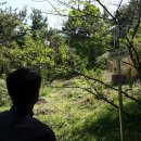 동궁초등학교 이미지