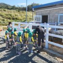 함안 승마장 이미지