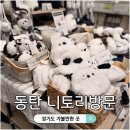 니토리 - 성북구 성북로 5-7 | 동탄 니토리 방문후기 동탄 롯데백화점 무료주차 팁