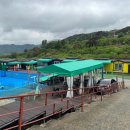 애견동반 밀양테마수영장 이미지