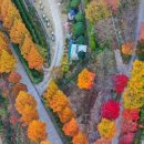 장산 축구장 | 고성 그레이스 정원-15년 정성 깃든 비밀 화원, 메타세쿼이아 단풍길 절정!