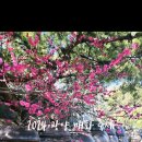 해돋이정보화마을 이미지