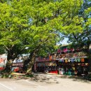 수덕펜션 이미지