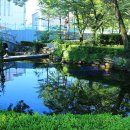 양대강 발원지 상징 이미지