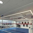 모던복싱클럽 이미지