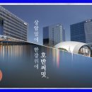 트라이가양