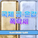 청산태양광 | 국제 금·은값 폭락세 이어져, 지금 투자자들이 반드시 알아야 할 7가지 핵심 포인트