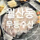 신성회수산 이미지