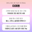 더코젠 이미지