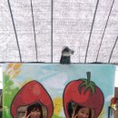 주씨네농장