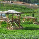 대촌농장 이미지