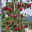 금당골농장 이미지