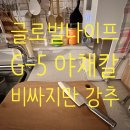 지-대로(G-대로)쇼핑 | 내돈내산 글로벌나이프 G-5 야채칼 리뷰