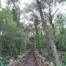 월라봉로 | [월라봉] 감귤박물관이 있는 오름