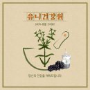 홍담컴퍼니 - 10134 | 홍담컴퍼니