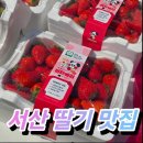 이오팜 서산농장 | [서산딸기맛집]내돈내산 구매 후기