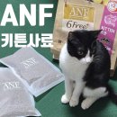유카라이프 | 고양이사료추천 ANF 6Free+ 키튼 급여후기