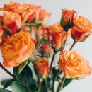 화요일 - 안양시 동안구 동편로27번길 26-12 | 화요일