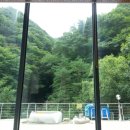 다원농장 이미지