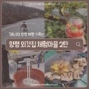 현미민박 | 2월 양평 외갓집체험마을 2탄ㅣ 서울 근교 농촌체험 딸기농장 얼음썰매 솥뚜껑 삼겹살먹기