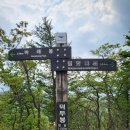 전라남도 인월 여행 데이트 명소 가볼만한 곳. 지리산 바래봉 철쭉제