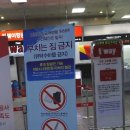 케이디렌트카 이미지