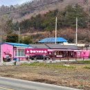 [진도] 진도 송가인 마을 꽈배기 카페 방문 후기 : 꽈배기어라