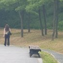 세상살이 이미지