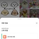 몽블링펫살롱 이미지