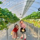 서해주유소 | 서해갯벌체험 보령팜플러스 2호점 경기도가볼만한곳 대부도갯벌체험 장소 서해펜션 후기