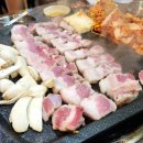 돼지꼬신내