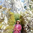 정실농장 이미지