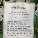 하우림한의원 | 어깨충돌증후군 수술 권유받은 뒤 하우림한의원 방문 후기
