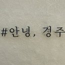 호랑이카츠 이미지