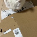 5955 | 미국 어그 타스만 카리부 (5955-CRBO) #내돈내산 후기